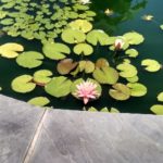 Garden Water Features Cavan Monaghan