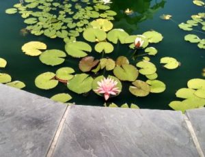 Garden Water Features Cavan Monaghan