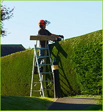 hedge cutting Cavan, Monaghan, Leitrim