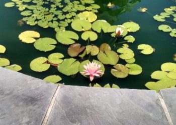 Garden Water Features Cavan Monaghan