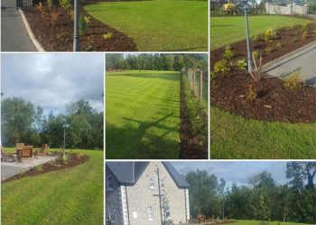 Soft Landscaping B with Plantscapes Eireann