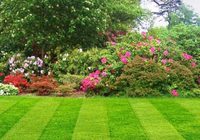 Hedge Cutting Cavan Monaghan