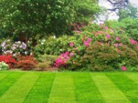 Hedge Cutting Cavan Monaghan