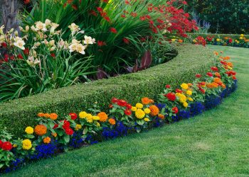 Hedge Cutting Cavan